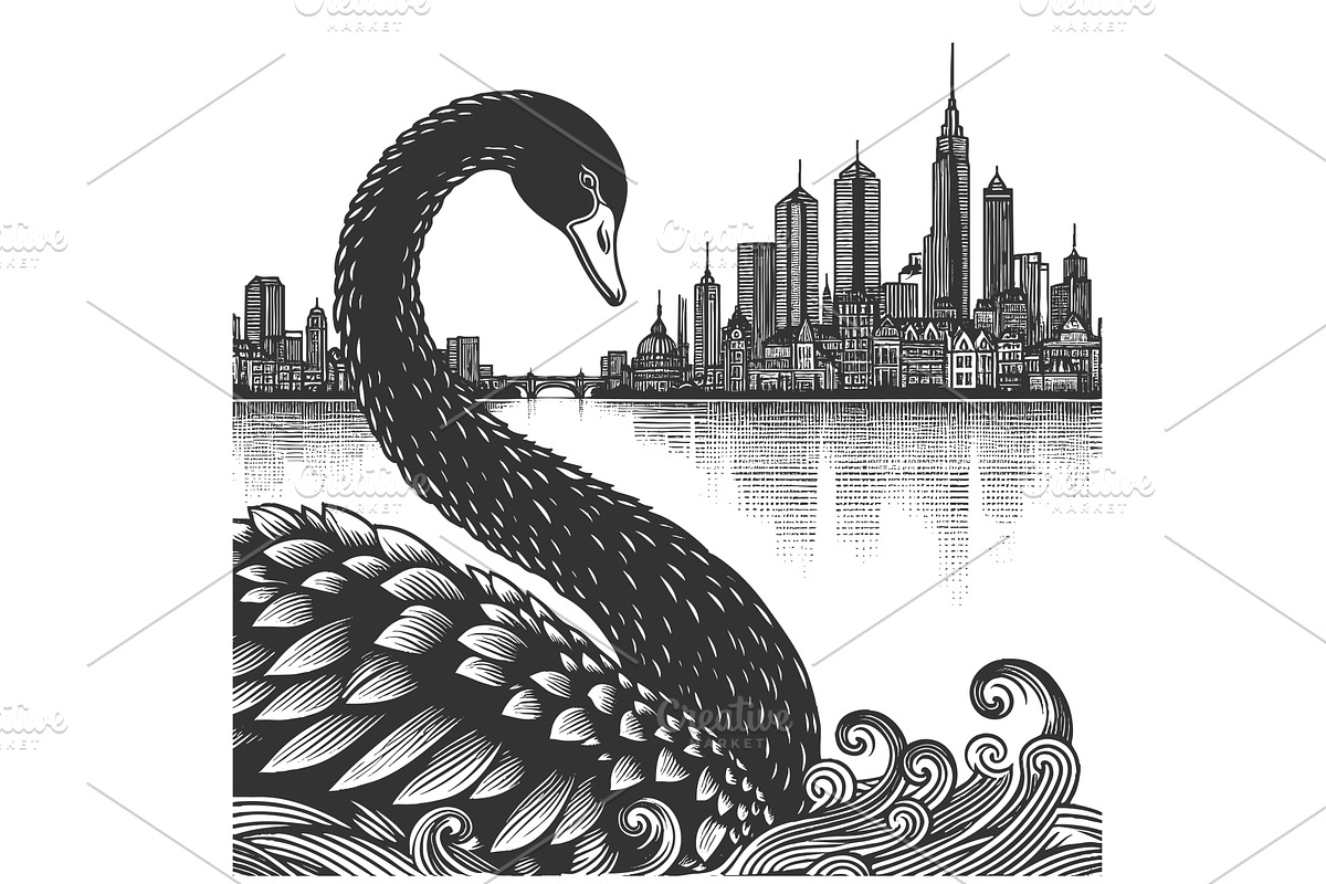 Black Swan City Skyline engraving, an Animal Illustration by AlexArt