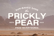 The Prickly Pear Sans + Doodles, a Font by ReveryWorks