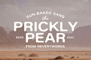 The Prickly Pear Sans + Doodles, a Font by ReveryWorks (Thumbnail 1 of 13)