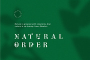 Leafy Logo Font, a Font by Kreativ Space (Thumbnail 3 of 4)