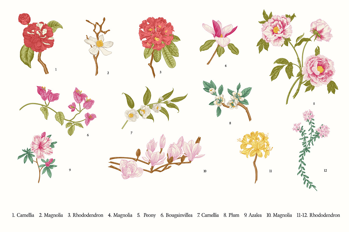 Bloom. Chinoiserie inspired, a Decorative Illustration by olga.korneeva (Photo 7 of 12)
