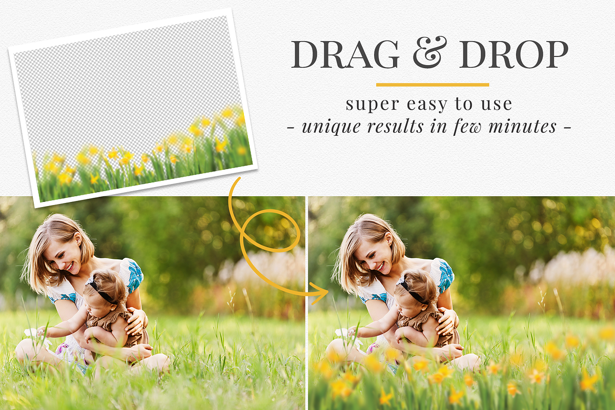 Daffodils Flowers photo overlays preview 2