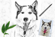 Pencil Drawing Photoshop Action, an Action Add-On by MockUpgrade (Thumbnail 6 of 7)