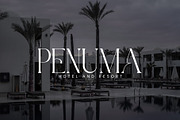 Aligin Serif - Modern Serif Font, a Serif Font by Idea Studio (Thumbnail 2 of 12)