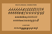 Strengthen Script, a Script Font by JROH Creative (Thumbnail 15 of 17)
