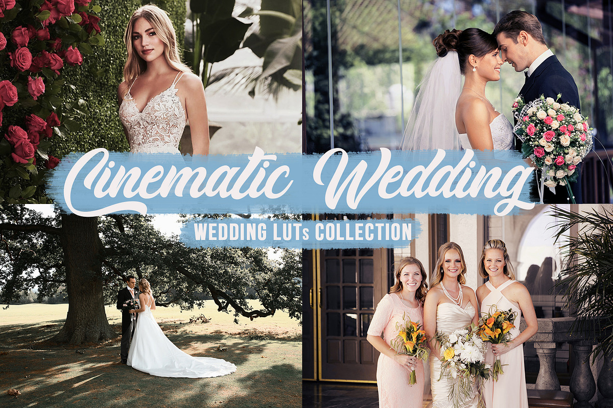 Cinematic Wedding LUTs Bundle, a Preset Add-On by CineMart (Photo 1 of 14)