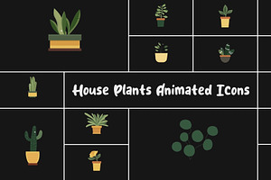 House Plants Animated Icons DaVinci, a Templates & Theme by 2dfx