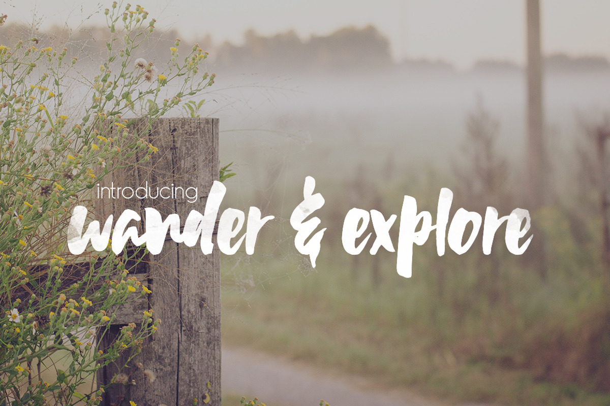 Wildflower Font preview 3