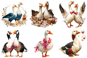 Wedding Goose Clipart, an Illustration by Craft Nest (Thumbnail 2 of 6)
