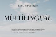 Mervola - Minimalist Serif Font, a Serif Font by GridlineType (Thumbnail 10 of 10)