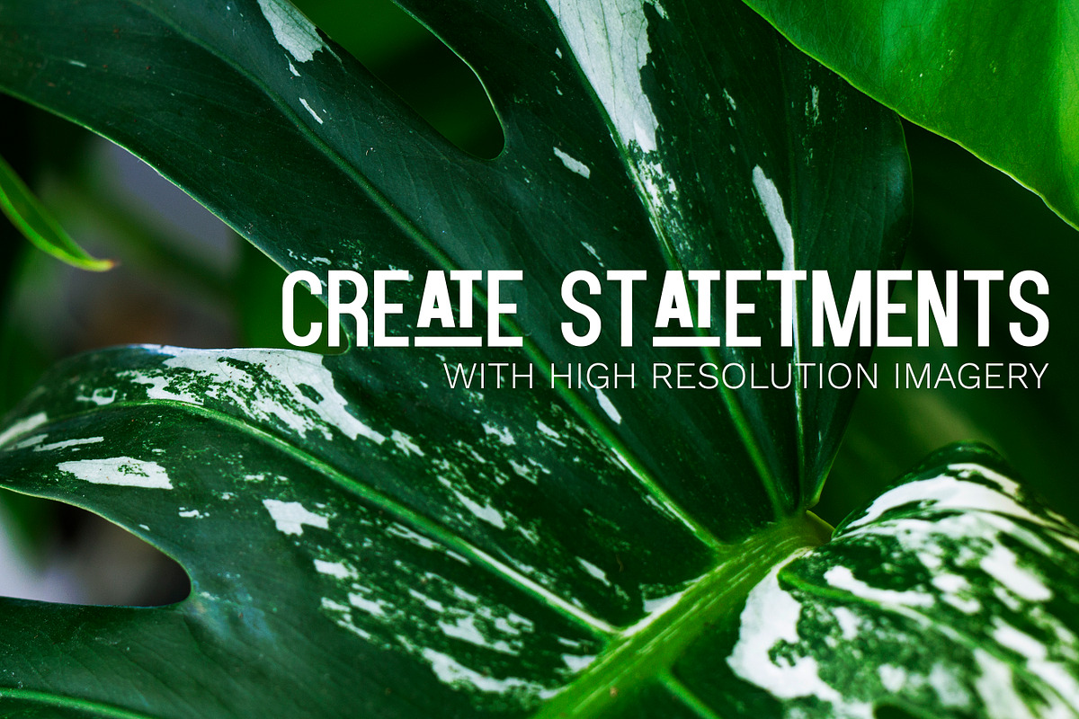 Little Jungle Image Bundle 1, a Nature Photo by Lum3n (Photo 2 of 3)