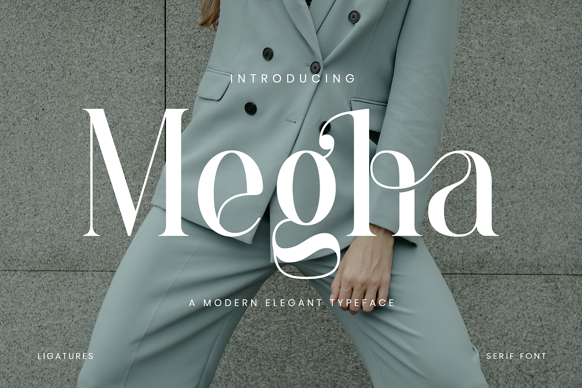 Megha - Elegant Serif Font, a Serif Font by Aqeel_Art (Photo 1 of 12)