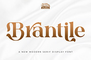 Brantile - Modern Serif Display Font, a Serif Font by Rishsketch (Thumbnail 1 of 14)