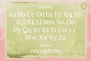 Moonlight – Romantic Swash Script, a Script Font by Setara Langit CreativeStd (Thumbnail 13 of 15)