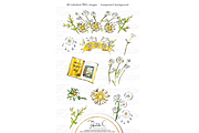 Stay Beetiful, an Illustration by HeidiCIllustration (Thumbnail 3 of 7)