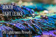 1001 Lightroom Collection, an Action Add-On by ArtPlanet (Thumbnail 2 of 31)
