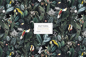 Neotropical, Pattern & Motifs