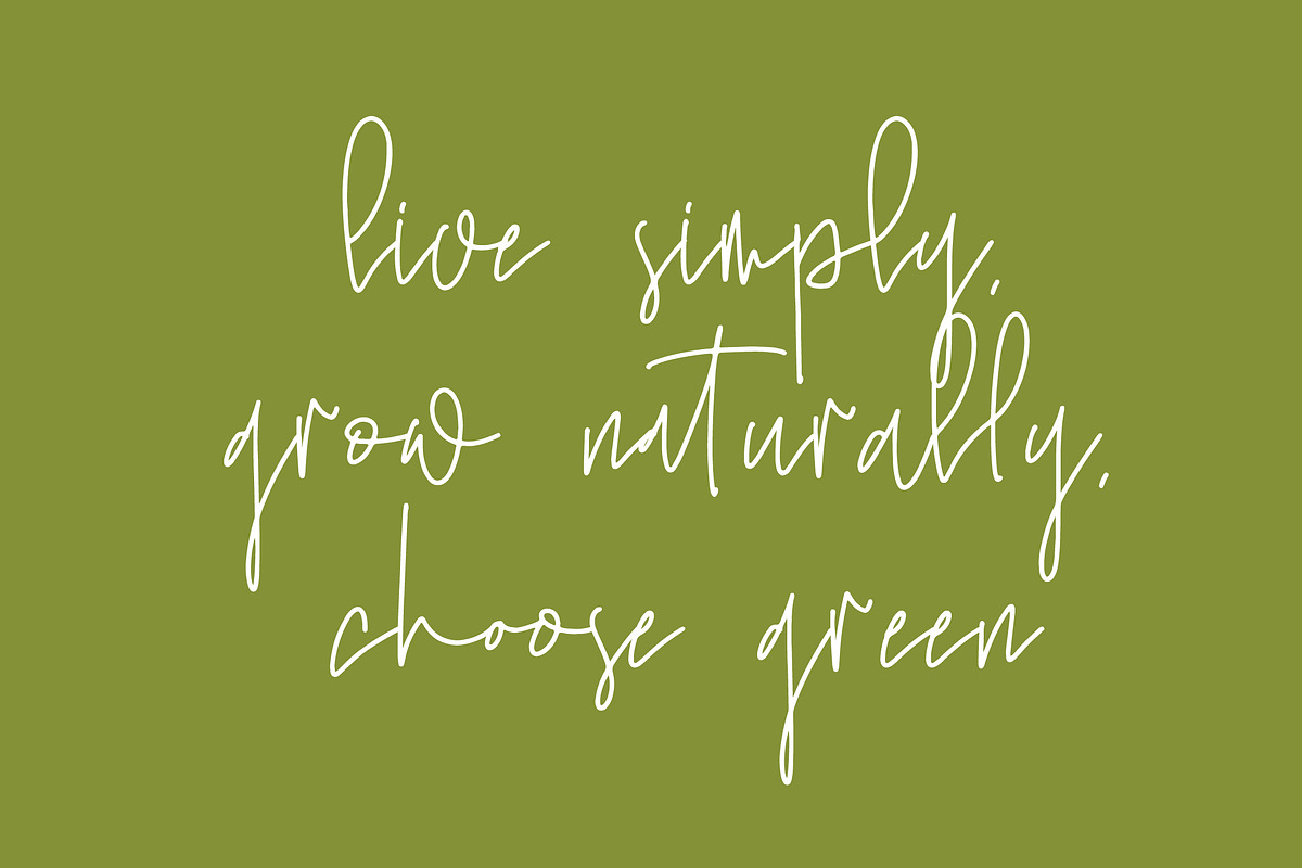 Sugar Puff, a Script Font by Integritype Studio (Photo 8 of 15)