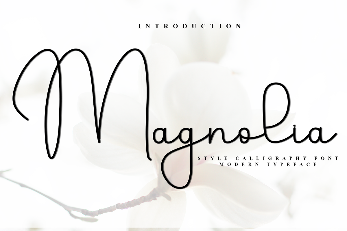 Magnolia, a Handwritten Font by InermediaSTUDIO (Photo 1 of 8)