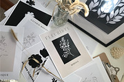 FLORAL ART PRINTS GALLERY. A4 POSTER, a Graphic by Anna Sokol (Thumbnail 10 of 28)