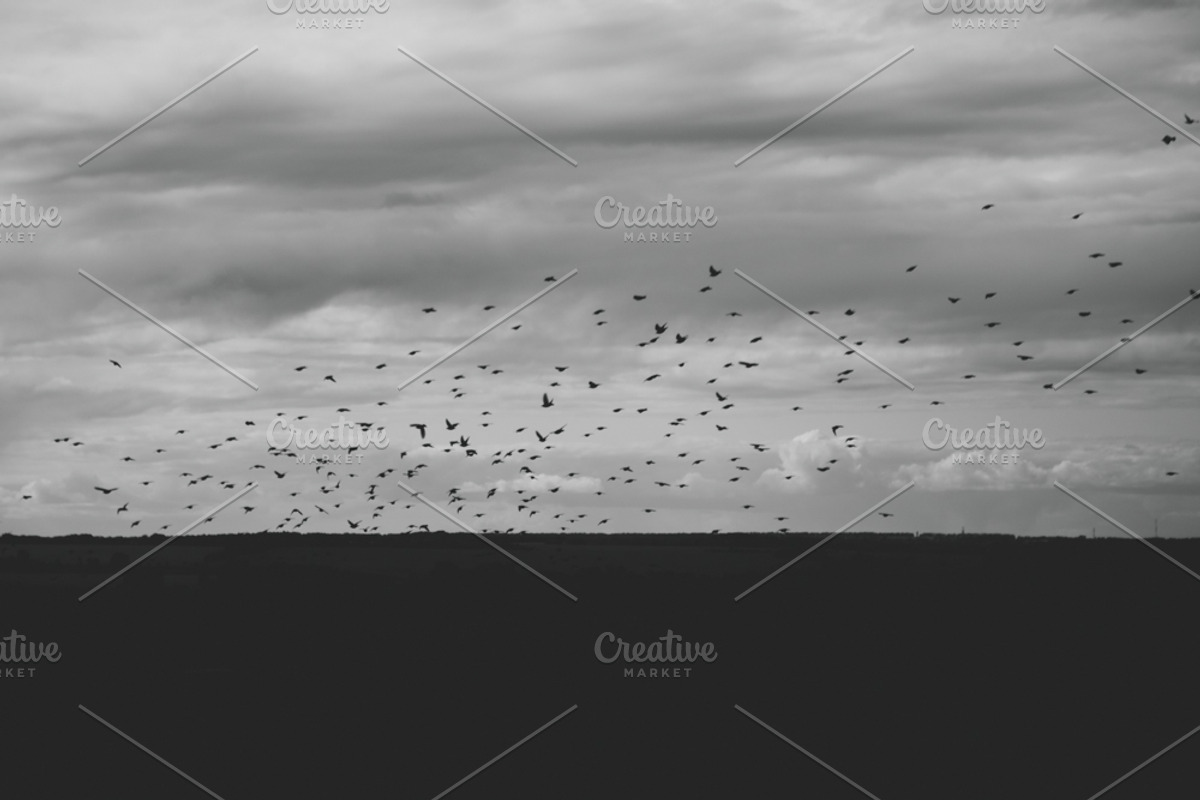 Mood collection, a Photo by Alekseyliss (Photo 4 of 21)