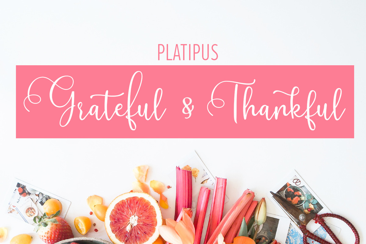 Platipus Script preview 4