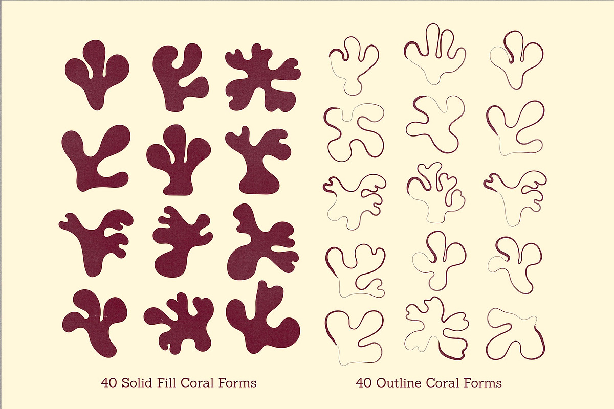 Coral – Hand Drawn Coral Forms, a Decorative Illustration by Madeline ODonoghue Design (Photo 2 of 15)