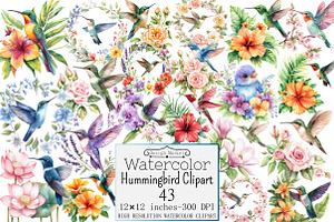 Watercolor Hummingbird Clipart, a Seasonal Illustration by Design Market