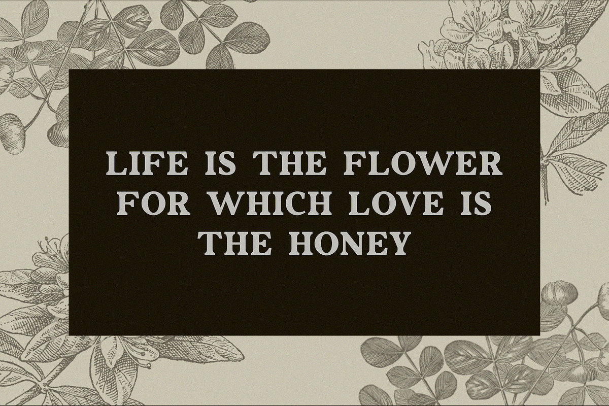 Easter Kelly - Dramatic Font, a Serif Font by Font Kingdom (Photo 5 of 7)