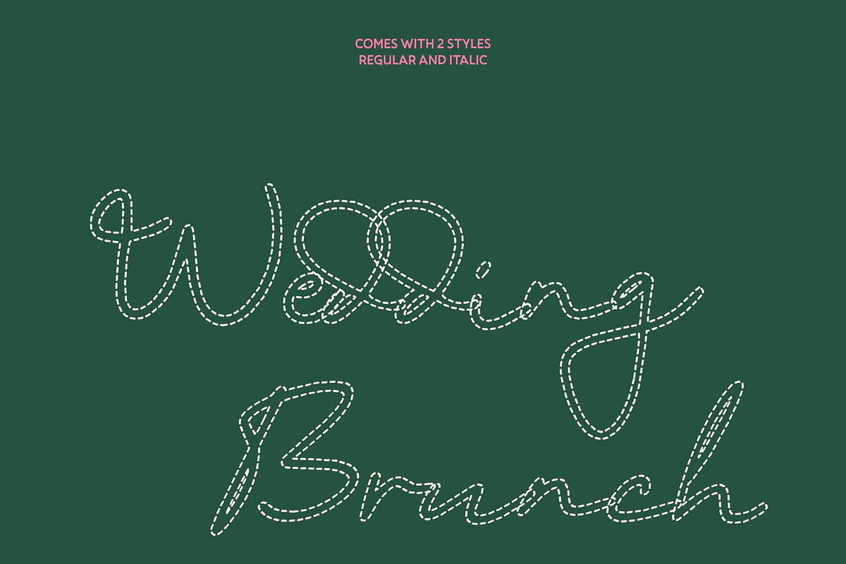 CS Ariana Dashed, a Script Font by Craft Supply Co. (Photo 4 of 8)