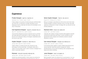Professional Resume Set 1 Horizontal, a Resume Template by DEFNST (Thumbnail 5 of 9)
