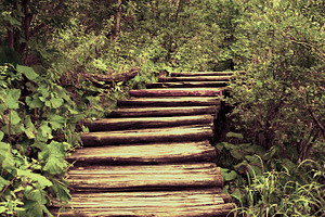 Old Wooden Stairs