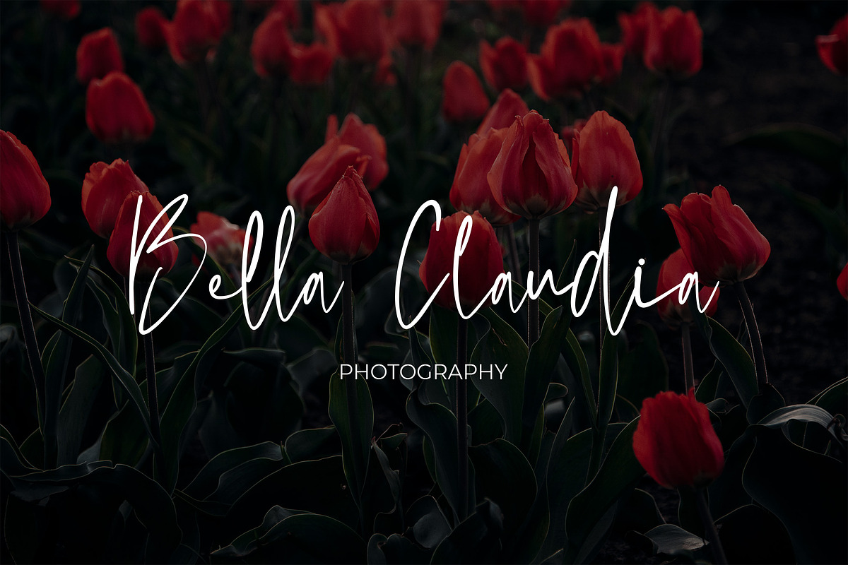 Moltena Script Font, a Script Font by NTC Graphic (Photo 6 of 9)