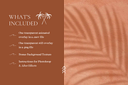 Animated Palm Leaf Shadow, a Product Mockup by Oui Create Studio (Thumbnail 2 of 4)