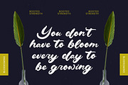 Drink South Bold Calligraphy Font, a Script Font by Letterena Studios Script (Thumbnail 12 of 20)