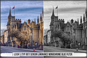 Leica Colors & Sensor Luminance, a Plug-in Add-On by Raztrend (Thumbnail 25 of 29)