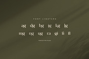Magin Elegant Serif Font, a Serif Font by Perfectype (Thumbnail 8 of 8)