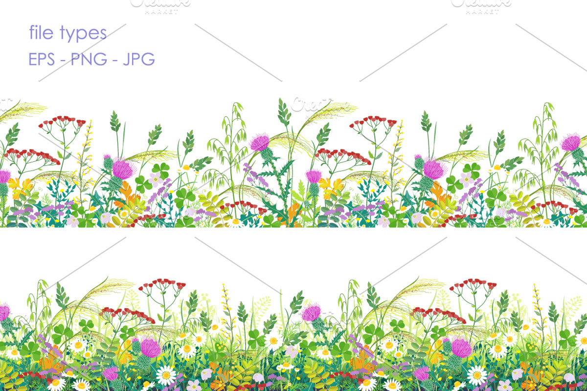Summer Meadow Plants  and Insects, a Decorative Illustration by Valentyna Smordova (Photo 2 of 4)