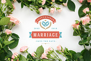 18 Wedding Logos and Badges, a Branding & Logo Template by Vasya Kobelev (Thumbnail 5 of 13)
