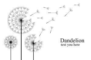 Dandelion + pattern
