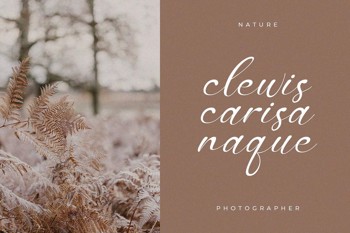 Selonika – Handwritten Script Font, a Handwritten Font by BrandSemut (Photo 3 of 11)