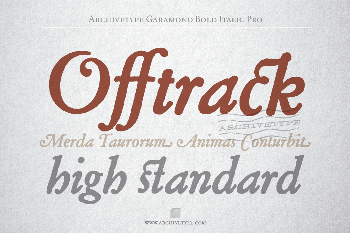 Archive Garamond Bold Italic Pro preview 2