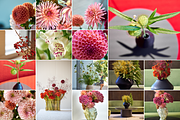 350 Photo Flower Arrangements, a Nature Photo by PopotLane (Thumbnail 8 of 8)