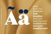 Dialecta Text, a Serif Font by Craceltype (Thumbnail 7 of 9)