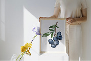 Botanical Blueberries, an Illustration by anitawidi (Thumbnail 2 of 3)