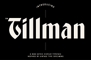 BN Tillman Gothic Display Typeface, a Serif Font by Bnick (Thumbnail 1 of 12)
