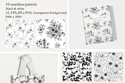 Flowers of Clematis. Botanical Set, a Decorative Illustration by ON_lineart_store (Thumbnail 9 of 10)