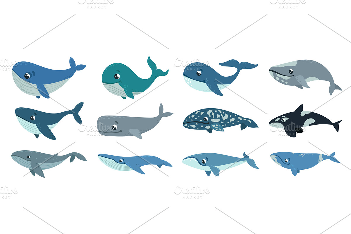 Cartoon whales. Isolated cute whale, an Animal Illustration by LadadikArt