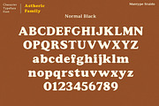 Astheric, a Serif Font by Mantype Studio (Thumbnail 8 of 16)