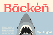 Jiftan - 12 Retro Family, a Serif Font by Dharmas Foundry (Thumbnail 12 of 15)